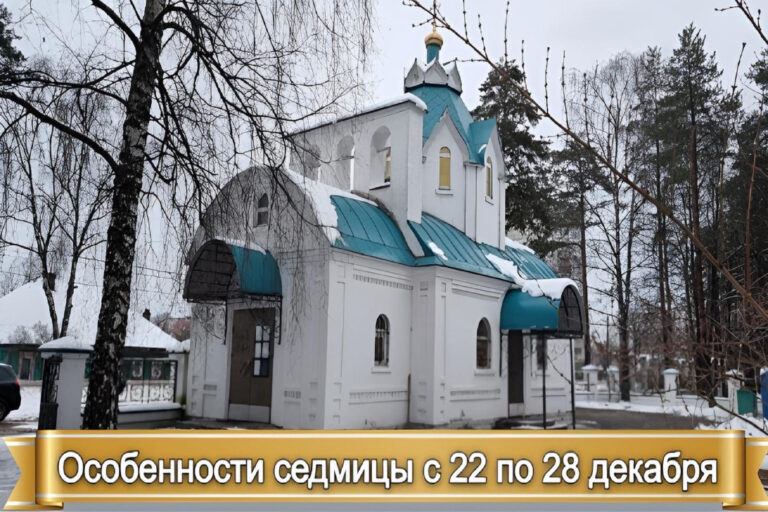 ОСОБЕННОСТИ СЕДМИЦЫ с 22 по 28 декабря