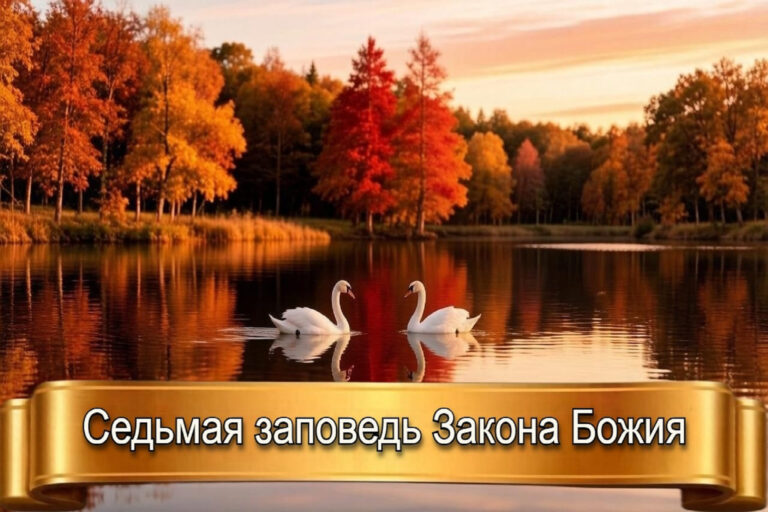 СЕДЬМАЯ ЗАПОВЕДЬ ЗАКОНА БОЖЬЕГО